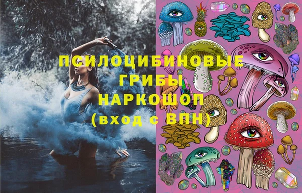 твердый Абаза