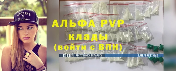 твердый Абаза