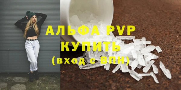 твердый Абаза