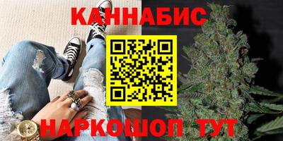 PSILOCYBIN Нальчик