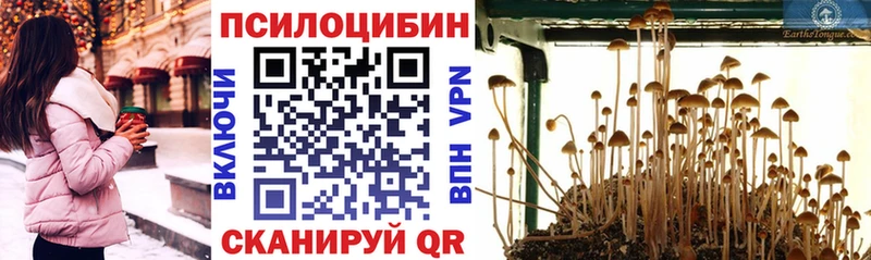 Галлюциногенные грибы Psilocybine cubensis  как найти закладки  Шарыпово 
